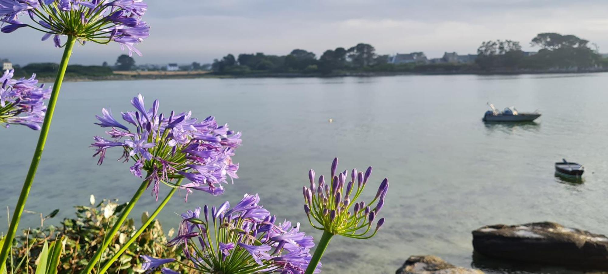 Kelerdut Plage Plouguerneau Ngoại thất bức ảnh